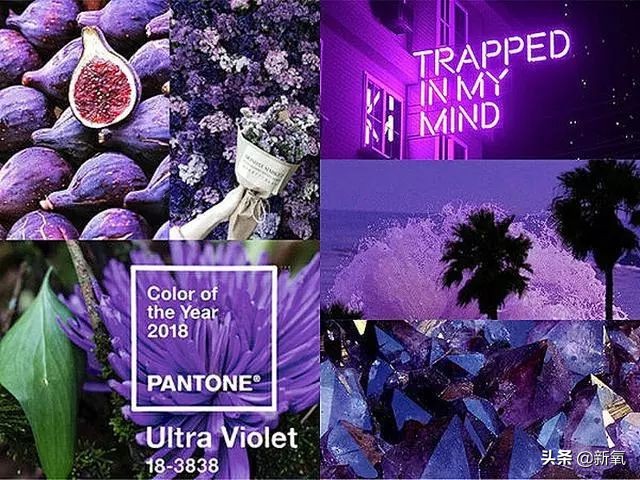 郭采洁香港风,郭采洁复古港风短发图片