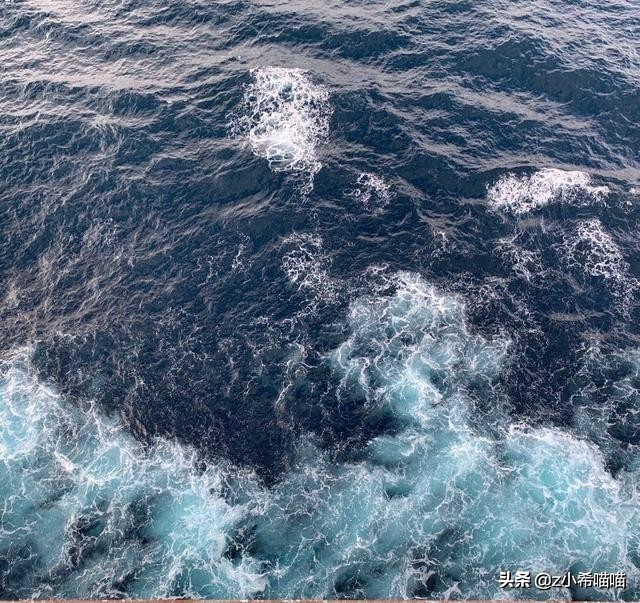 乘坐顶级邮轮是什么体验？第一次游轮出行该怎么选？看这一篇就够