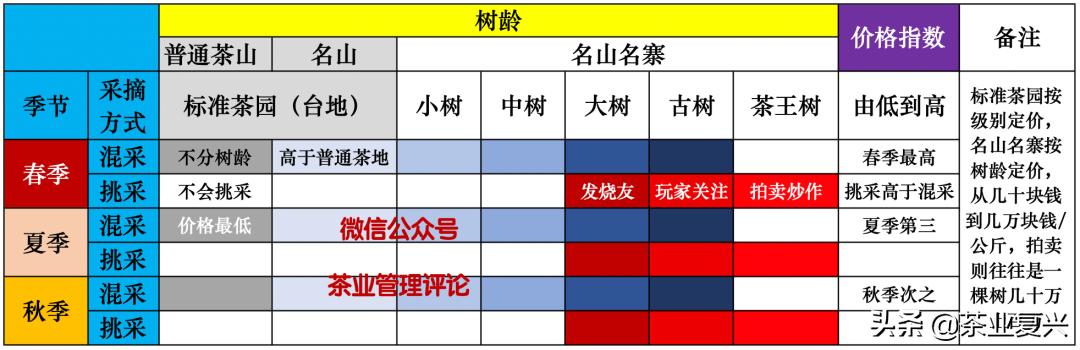 你对普洱茶的低价了解多少,地道普洱茶价格与真正的认知