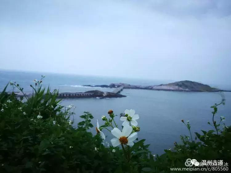 鹿西岛白龙屿旅游攻略,鹿西岛白龙屿日出