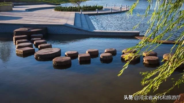 一鹿走来鹿泉,一路走来的最新视频