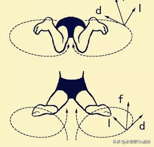 游了一年多的蛙泳没长进,成年人学蛙泳的十大困惑