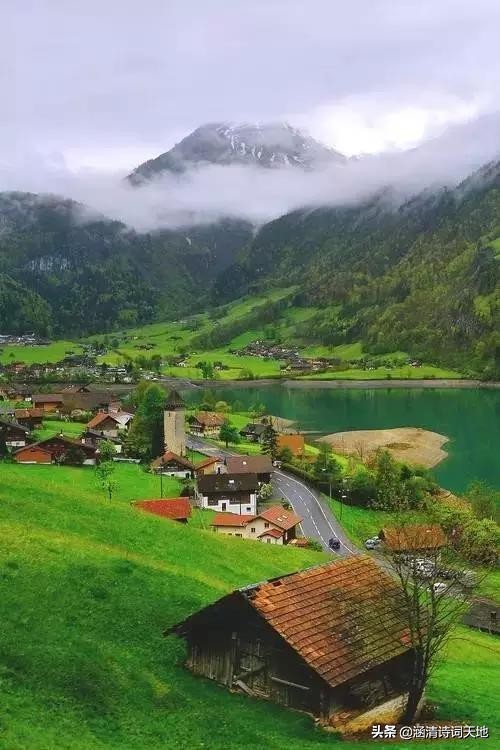 诗词大会寻味飞花令,诗词大会飞花令相思