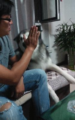 搞笑gif嫂子包饺子,搞笑gif姑娘你这次真的是玩过头了