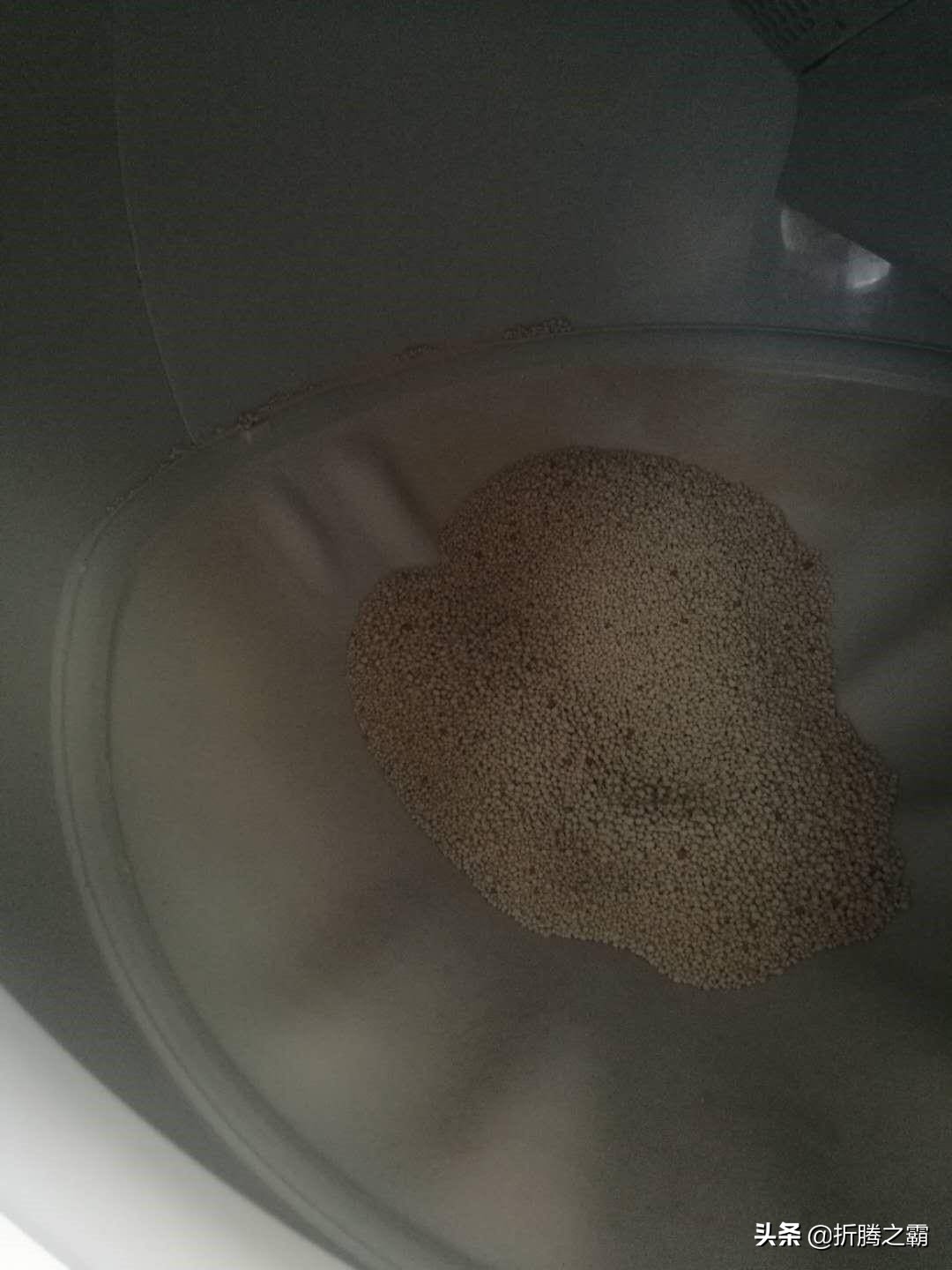 猫有必要买全自动猫砂盆吗,猫自动猫砂盆有必要买吗