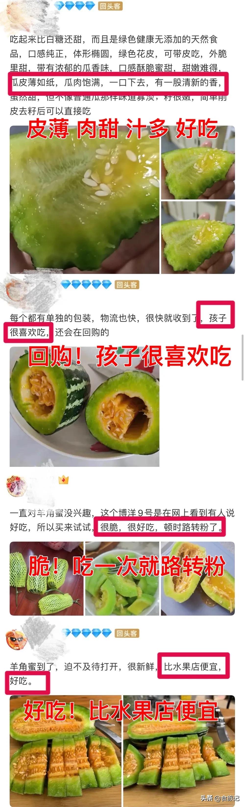 正宗博洋蜜瓜产地,黄洋蜜瓜和博洋蜜瓜区别