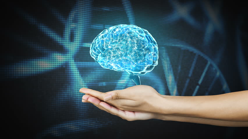 科学家发现大脑隐藏模式,科学发现中的机缘巧合