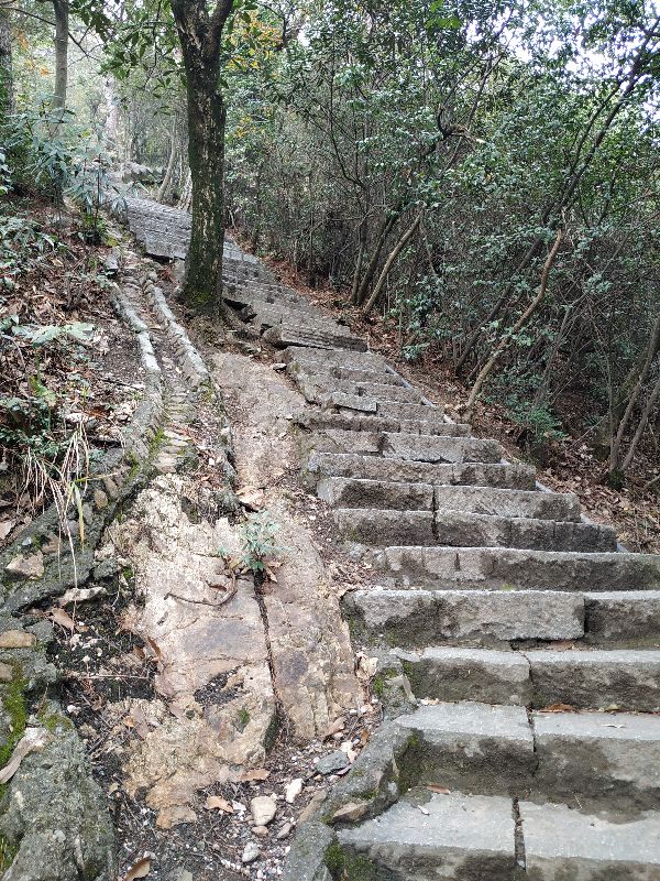 杭州市周末自驾游去哪里好玩,杭州出发周末旅游攻略