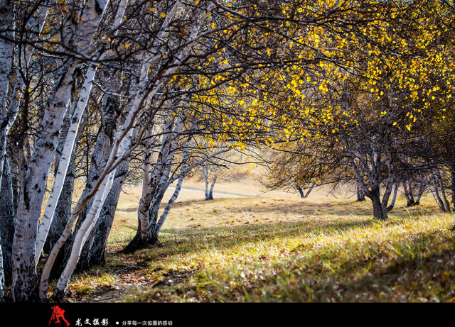 灏煎悍澶氶噸鏇濆厜鏁欑▼,浣宠兘澶氶噸鏇濆厜鏁欑▼