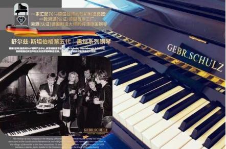 德国钢琴哪个好,德国大师手工钢琴