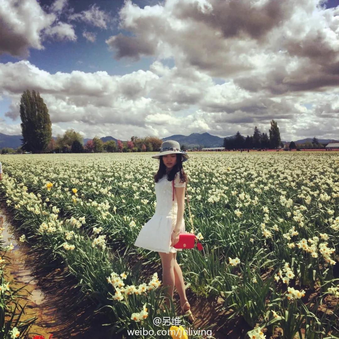 西雅图深度详细攻略,西雅图居住十年攻略