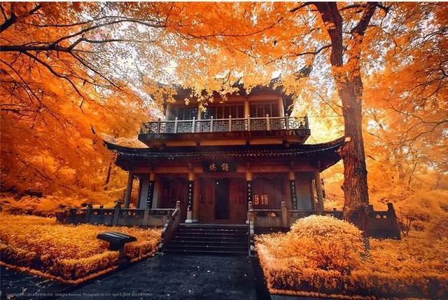 南京秋天旅行攻略,来南京体验秋天浪漫