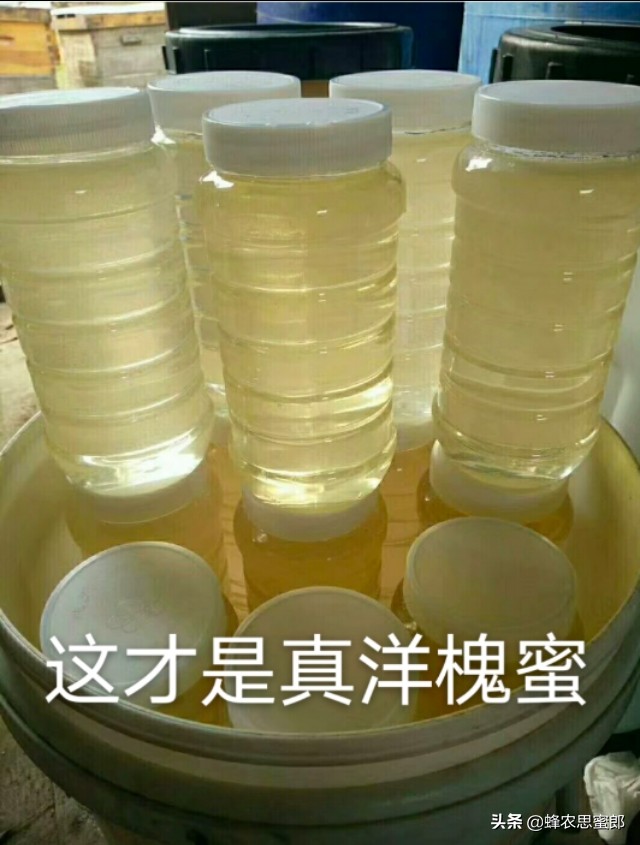 中蜂蜂蜜市场前景分析,蜂蜜行业发展前景及其风险