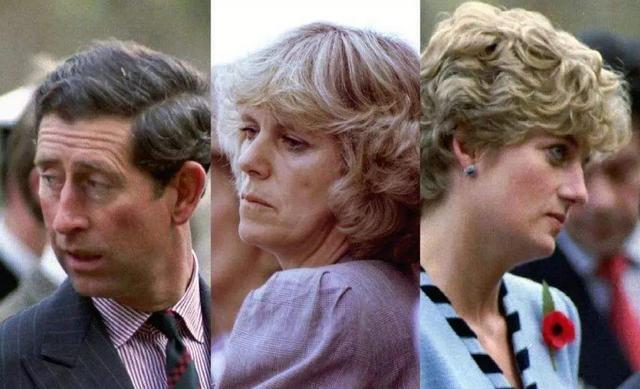 查尔斯对戴安娜做了什么,查尔斯被戴安娜道具酒杯砸头