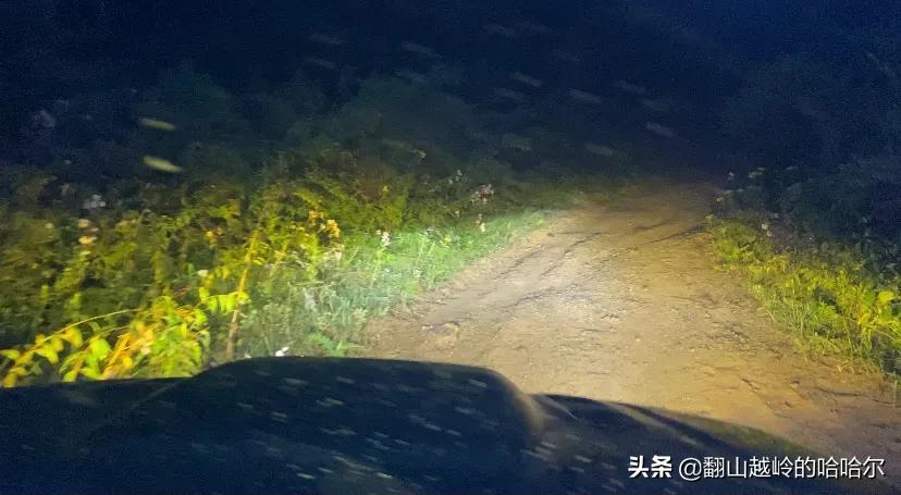 从河南到四川沿途风景的变化,山西到河南沿途有哪些好景点