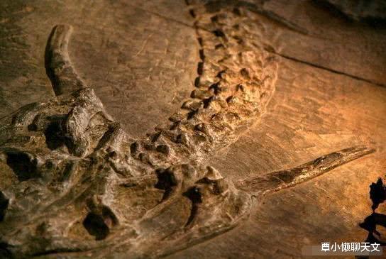 上古神兽龙真实存在过吗,自然传奇的奇异神兽龙是真的吗
