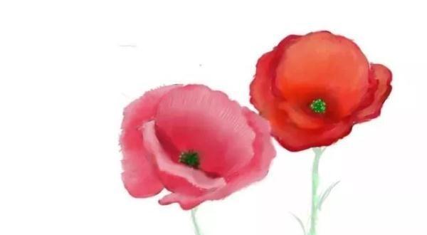 一年级禁毒漫画简单又漂亮,一个禁毒宣传漫画作品