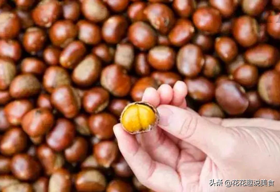 板栗买大的还是小的好吃,买板栗买热的还是冷的