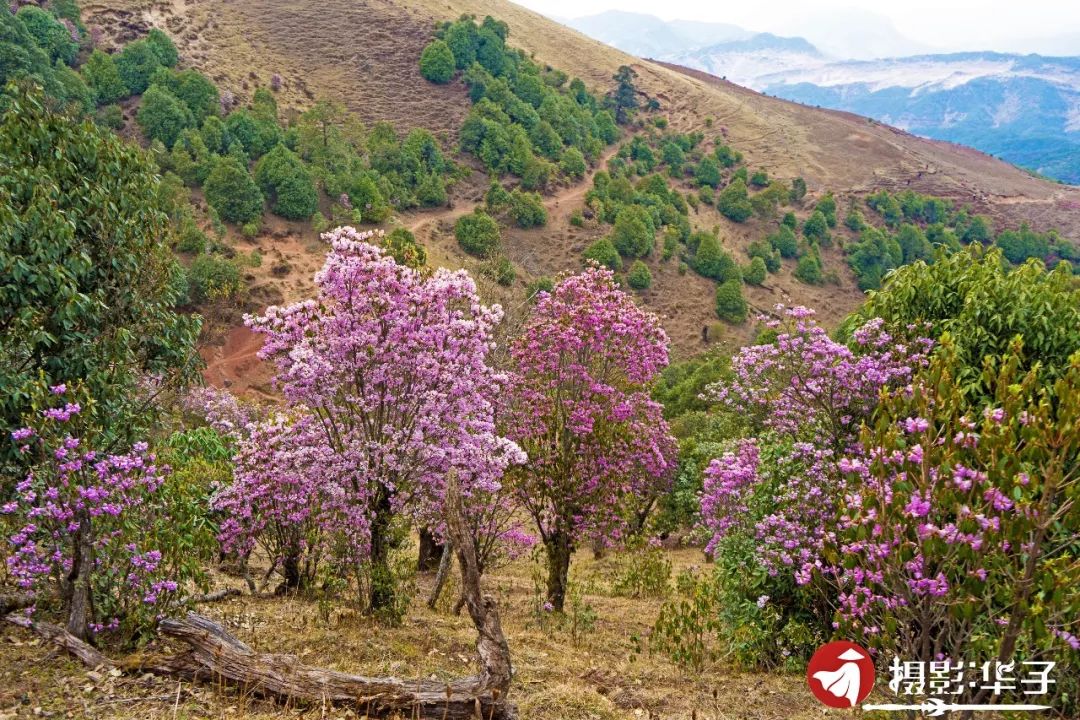 说秋道冬话永胜，气候多样人宜居