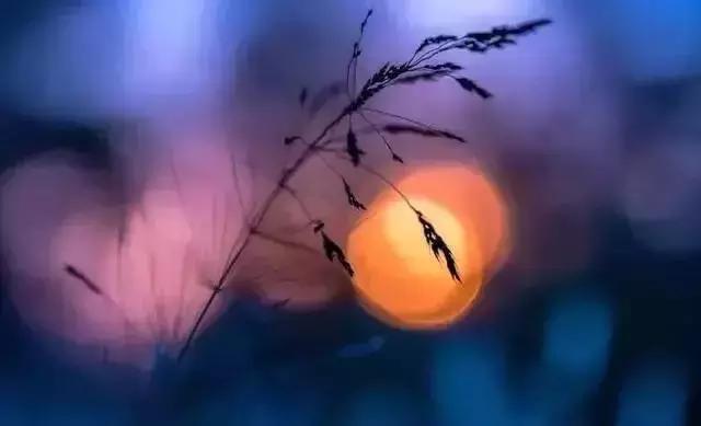 对焦难题怎么解决,对焦难题的解决办法