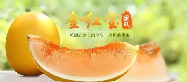 大漠甜瓜,甜甜蜜蜜就是民勤滋味