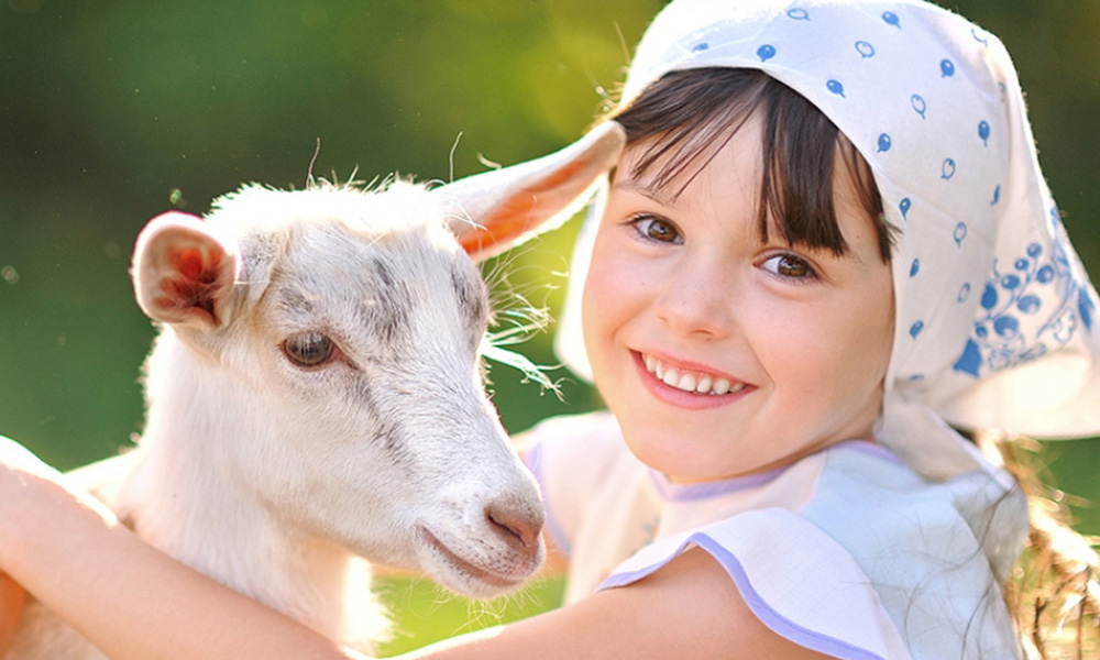 中国前十名羊奶粉排行榜最新,羊奶粉排行前十名最新