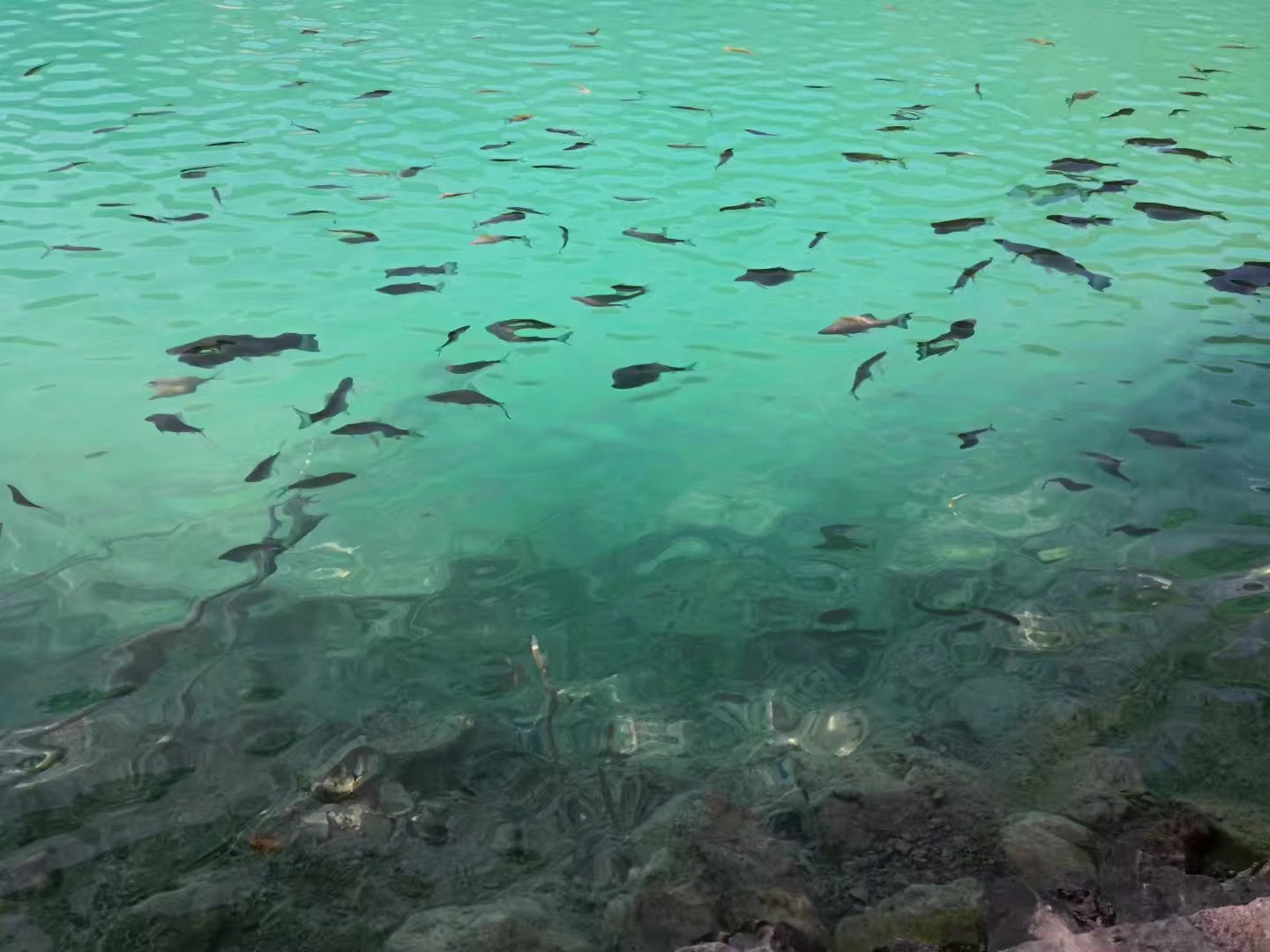 克罗地亚充满浪漫,克罗地亚的旅游