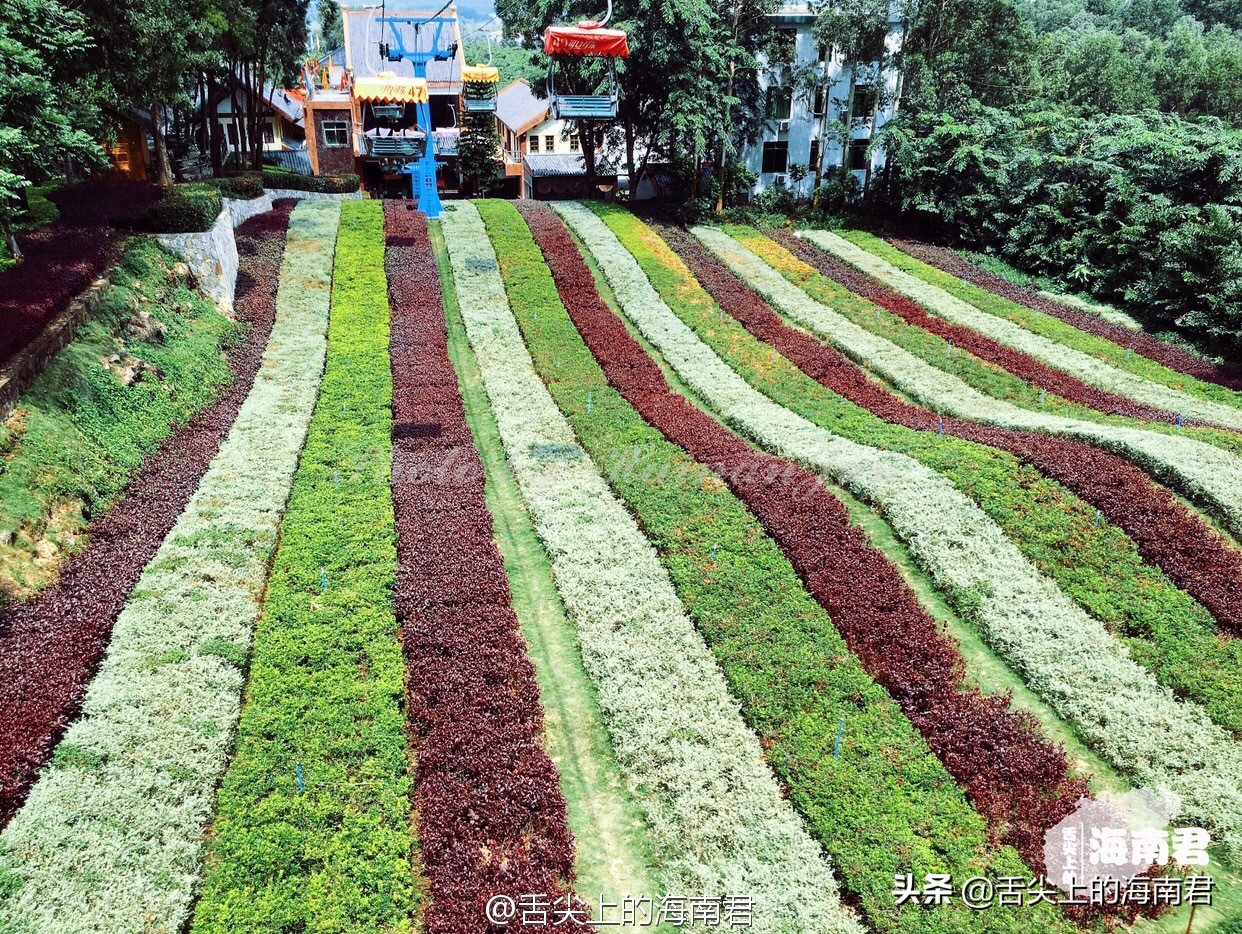海南去了一次不想去第二次,海南琼海可以旅游的地方推荐
