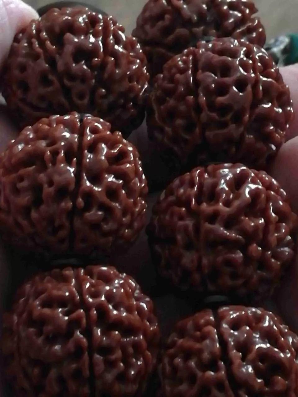 金刚菩提和落地红对比图,盘了两年的金刚值多少钱