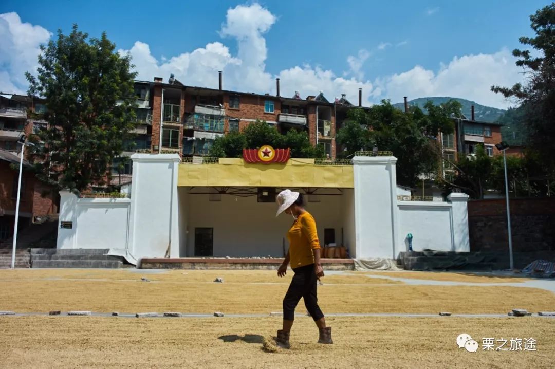 徕卡2490f2.8一机走天下,徕卡m9风景参数