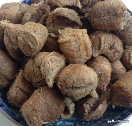 农村什么野草能利尿,农村什么草能治尿少