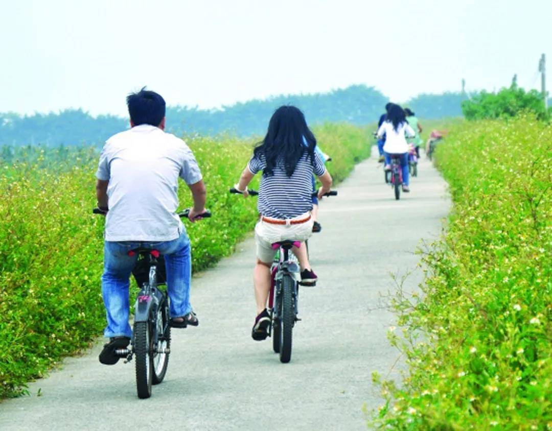 广东周围自驾游民宿推荐,广东旅游民宿推荐肇庆