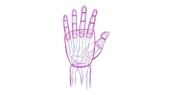手的正确画法怎么画,手怎么画最简单的画法