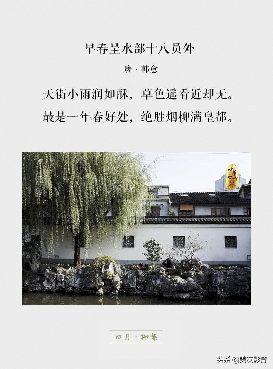 知识有哪些方面的,知识你了解了吗图片