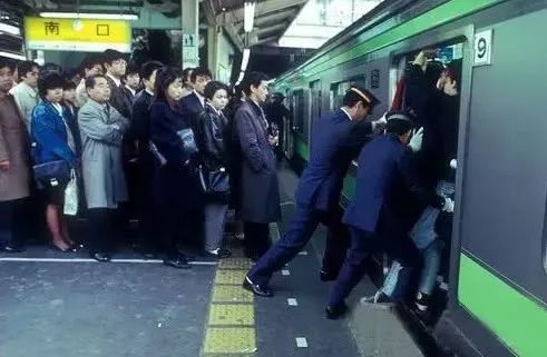 成都“养牛人”火了阴间设计师、闻屁师等职业或成“潜力股”