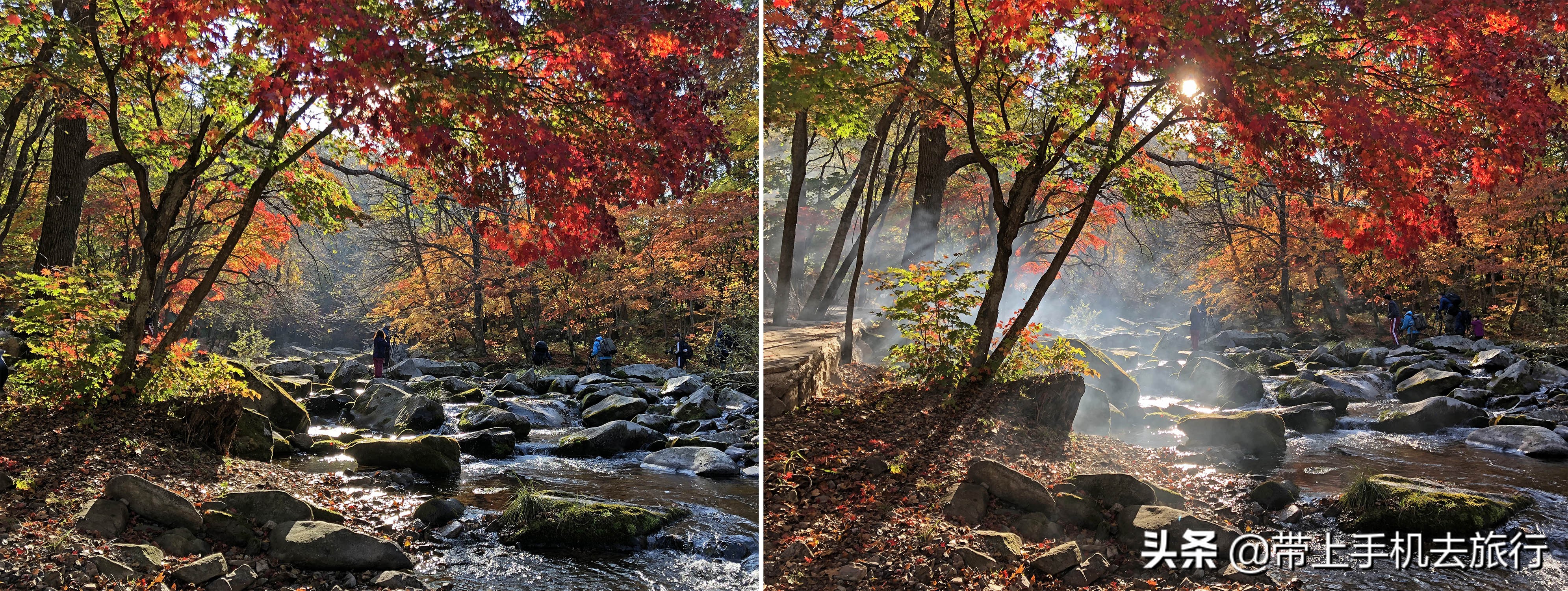 手机拍什么画面好看又清晰,如何让手机拍摄出的画面更够质感