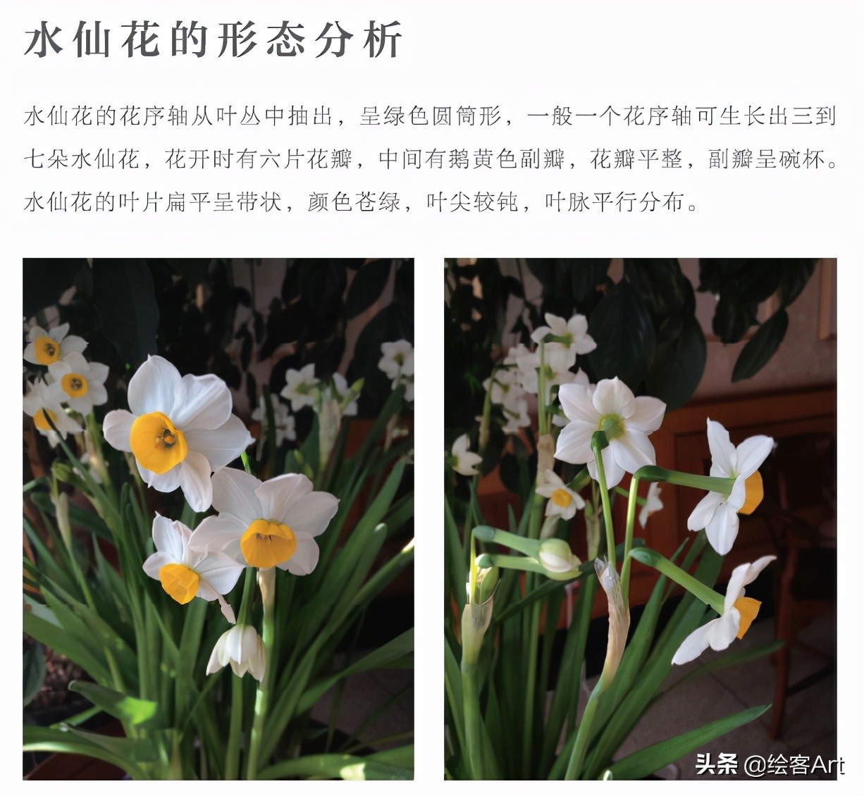 小清新写意国画,值得收藏的小写意国画