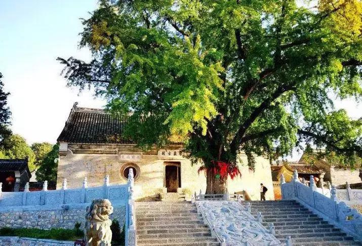 在河南这11处佛门圣地,在河南这11处佛门胜地