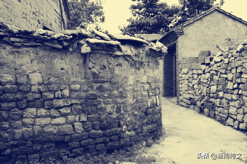 瑙︽懜涔℃剚鍙よ瘲鍥剧墖,瑙︽懜涔℃剚