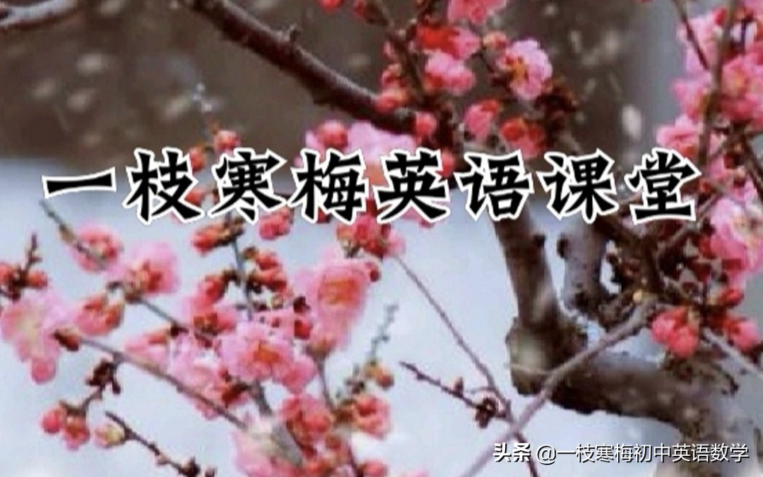 寒假英语单词快速学习,寒假英语学习表