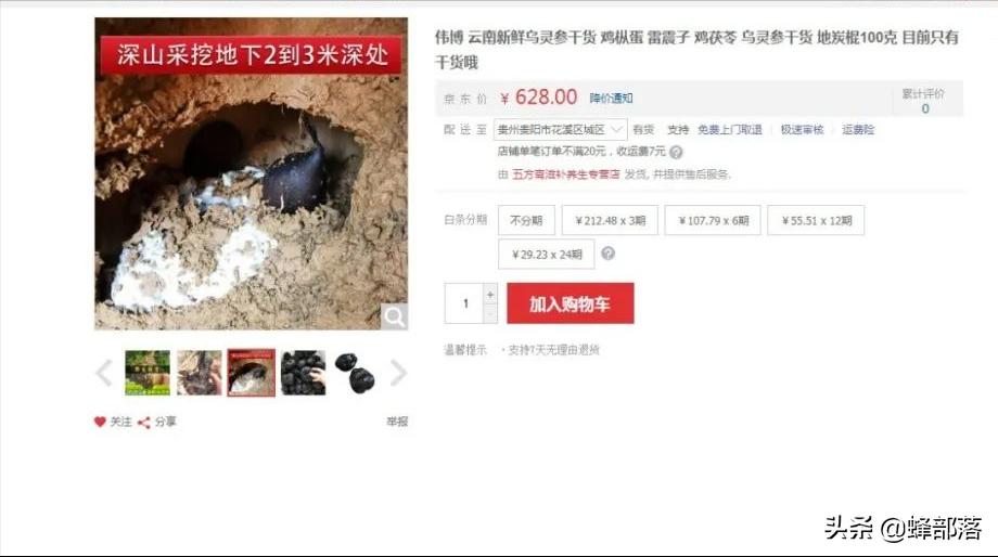 土人参多少钱一苗,土人参1千克得多少钱