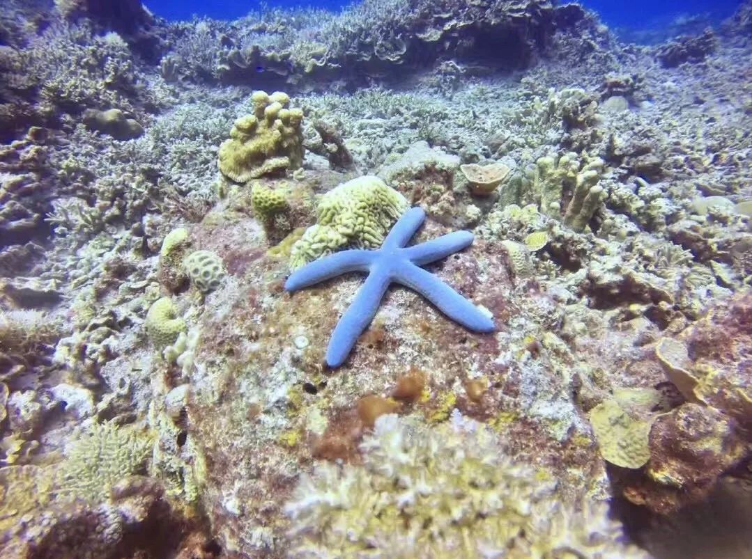 娴峰矝鐧句竾杩愰暅,娴峰矝濂囧叺鐧句竾璧勬簮鍊煎緱涔板悧