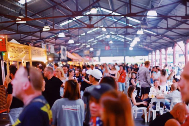 双十一血拼,双11血拼双十一