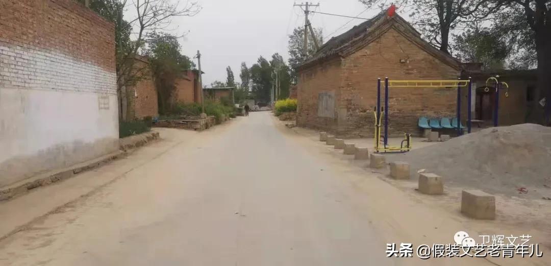 卫辉牌大米,新乡原阳大米好不