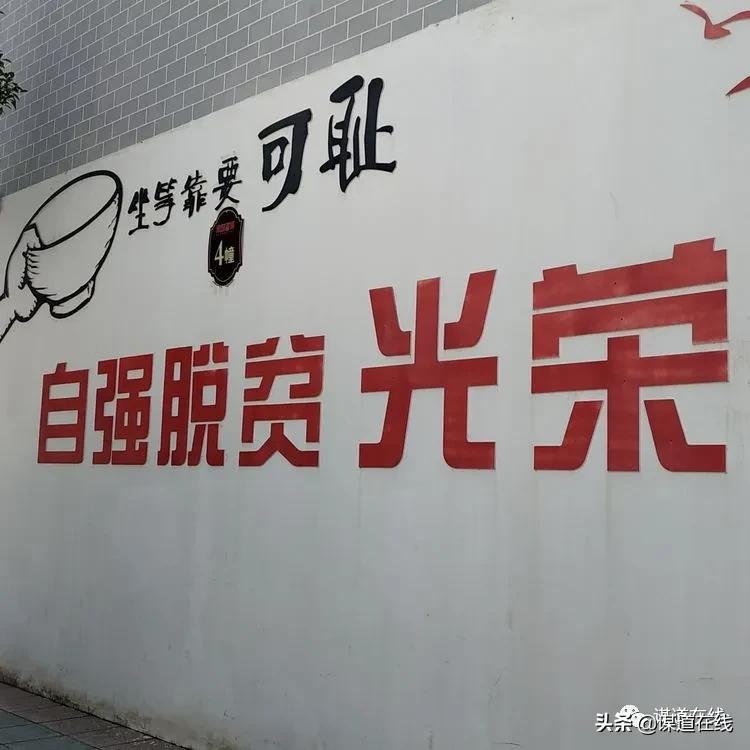 苏马荡谋道镇民宿,苏马荡南浦古镇民宿