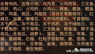 纽翠斯猫粮啥时候降价,纽顿猫粮和纽翠斯猫粮哪个更好