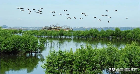 星湖国家湿地公园作用,广东星湖湿地