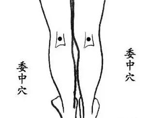 12种穴位拍打操,最好的中医推拿理疗