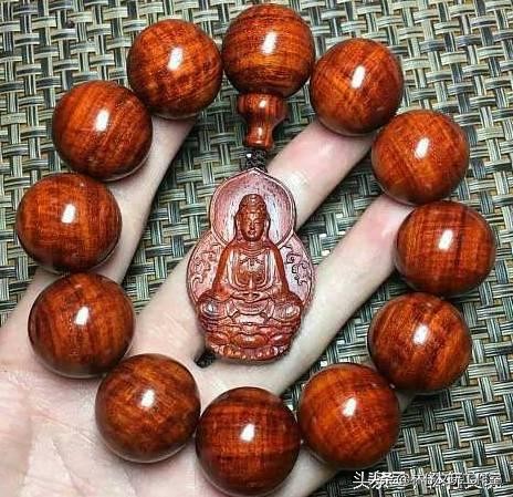 印度小叶紫檀树苗鉴别方法,怎样鉴别印度小叶紫檀二胡好坏