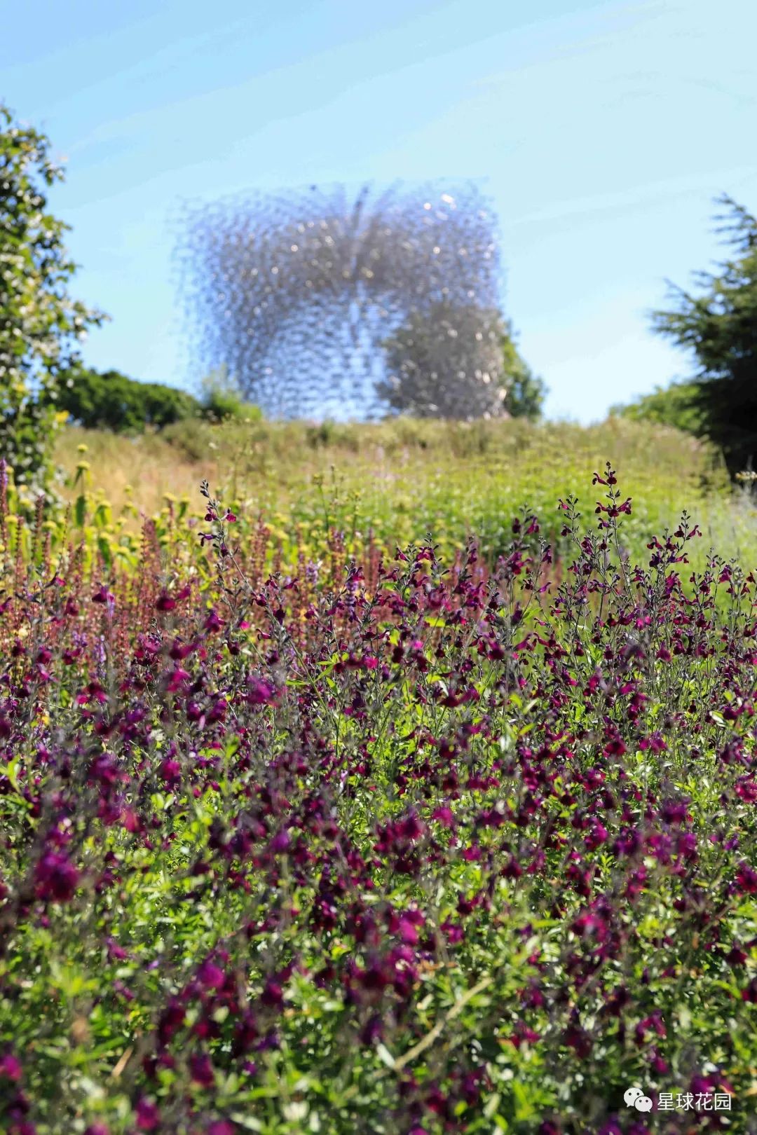 二木带你游花园|邱园（kewgarden）离我们到底有多远？